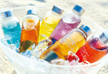 Okinawa Herb Garden – 沖縄ハーブガーデン