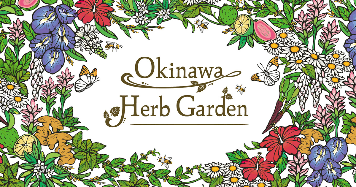 ヴィンテージ　ハーブ　アート　FRESH HERBS ハーブ苗 選べる ガーデン ハーブ 3.5号ポット ミント バジル